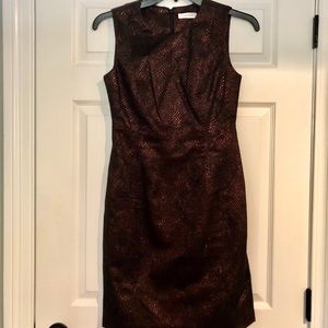Calvin Klein Women’s Sleeveless Sheath Dress 6